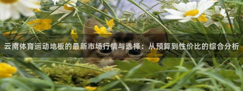 vsport体育在线官网