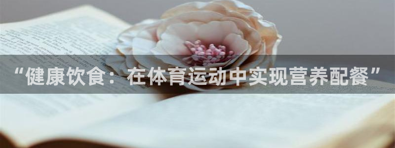 vsport体育在线官网