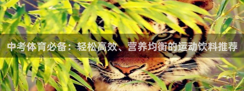vsport体育在线官网