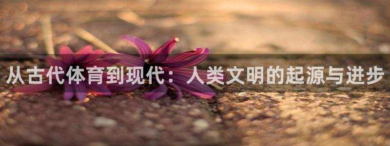 vsport体育在线官网：从古代体育到现代：人类文明的起源与进步