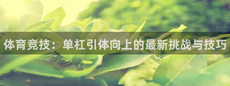 vsport体育在线官网：体育竞技：单杠引体向上的最新挑战与技巧