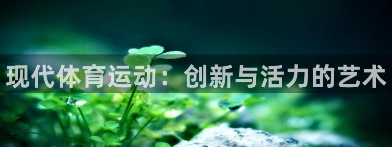 vsport体育在线官网