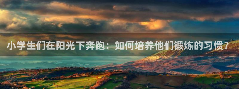 vsport体育在线官网