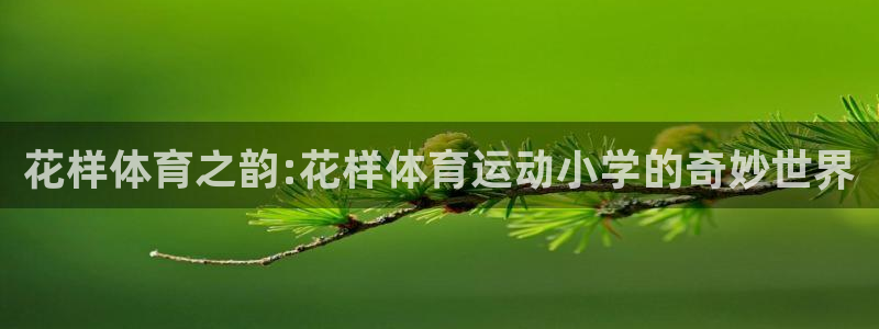 vsport体育：花样体育之韵:花样体育运动小学的奇妙世界