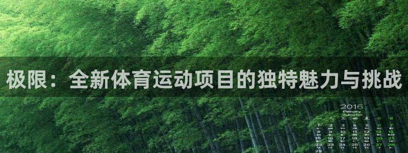 vsport体育：极限：全新体育运动项目的独特魅力与挑战