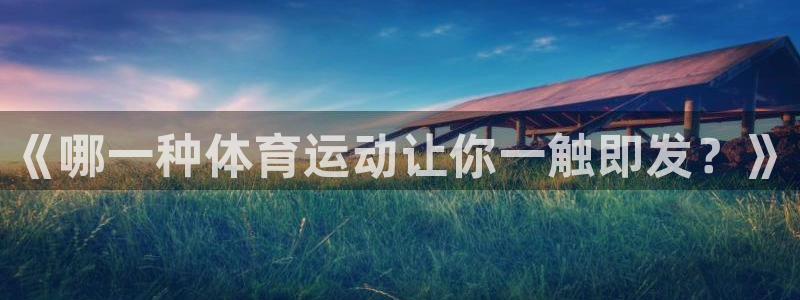 vsport体育：《哪一种体育运动让你一触即发？》