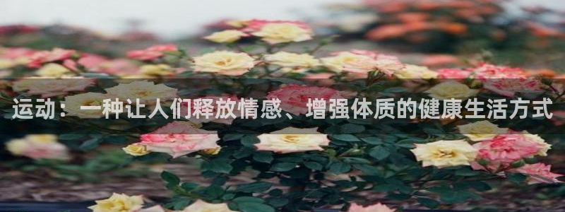 vsport体育