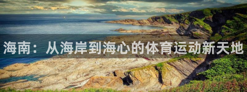 vsport体育在线官网