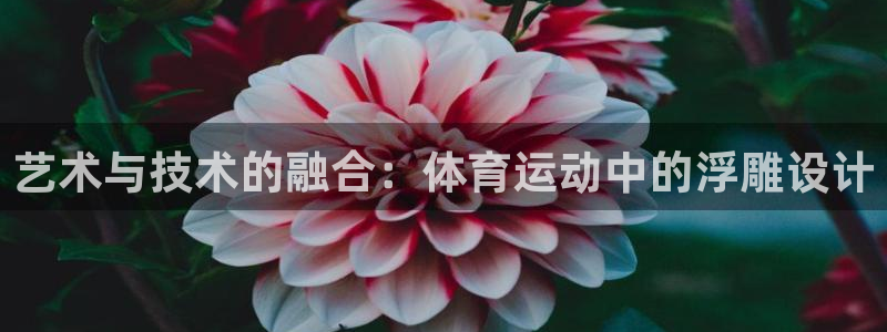 vsport体育在线官网：艺术与技术的融合：体育运动中的浮雕设计
