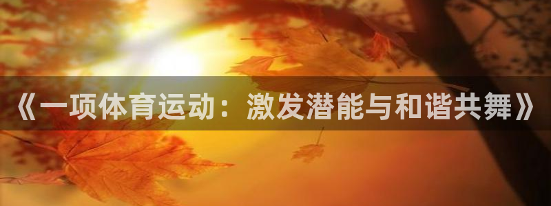vsport体育在线官网：《一项体育运动：激发潜能与和谐共舞》